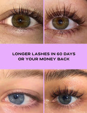 max lash goals set — 79